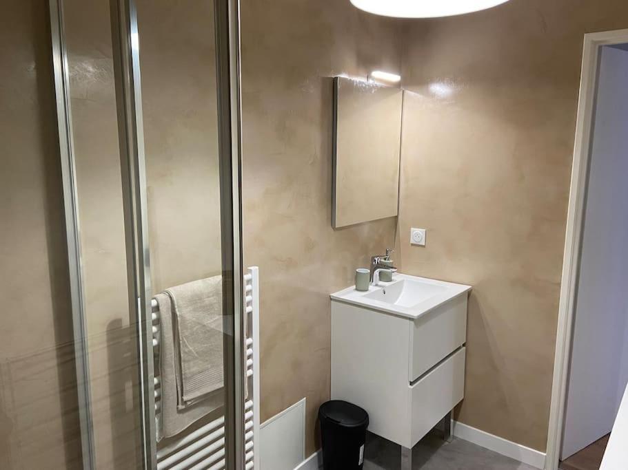 Appartement Studio Le Marengo Dans Le Centre De St Etienne à Saint-Etienne  Extérieur photo